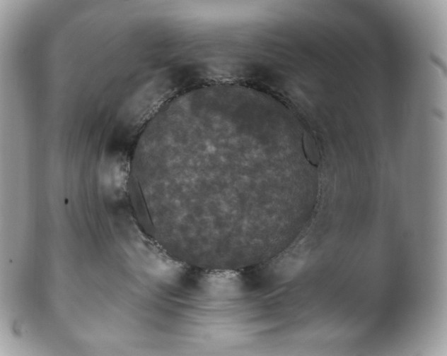 X0000102810576200808181226