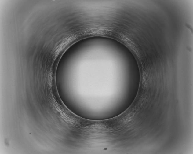 X0000102810578200808181225