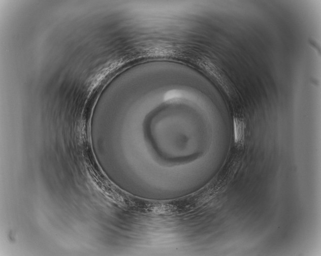 X0000102810579200808181225