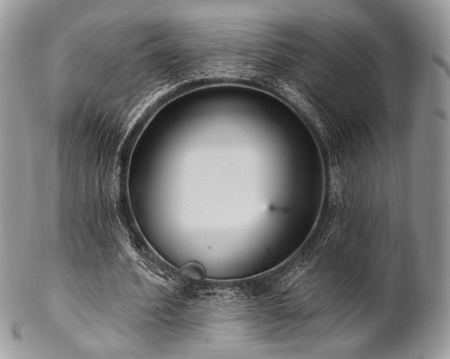 X0000102810580200808181225