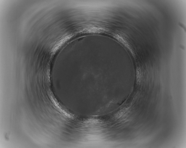 X0000102810581200808181225