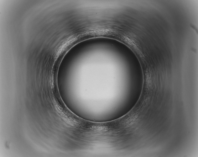 X0000102810582200808181225