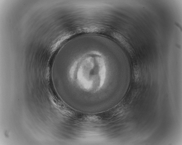 X0000102810583200808181225