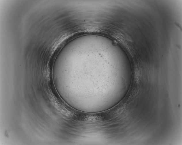 X0000102810584200808181225