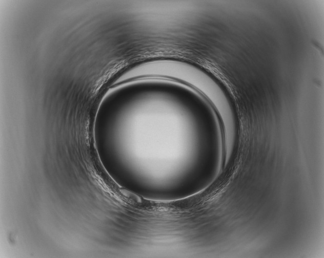 X0000102810585200808181225