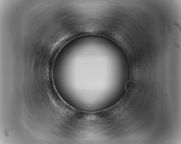 X0000102810587200808181225