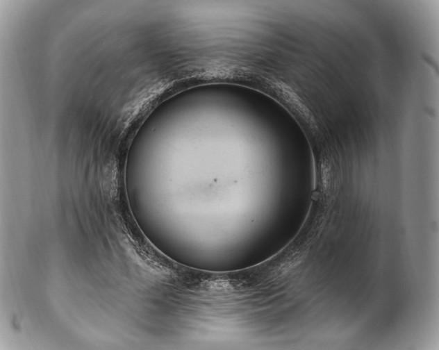 X0000102810588200808181225