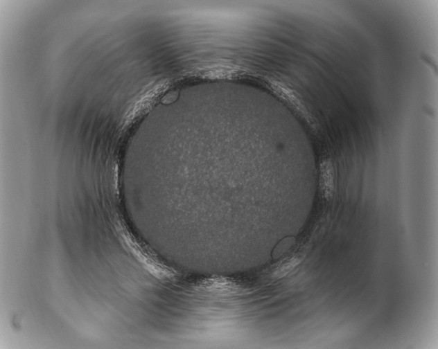 X0000102810589200808181225