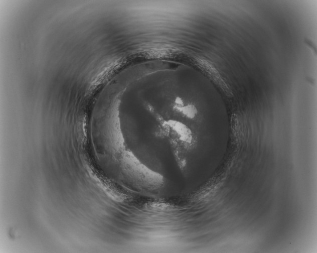 X0000102810590200808181225