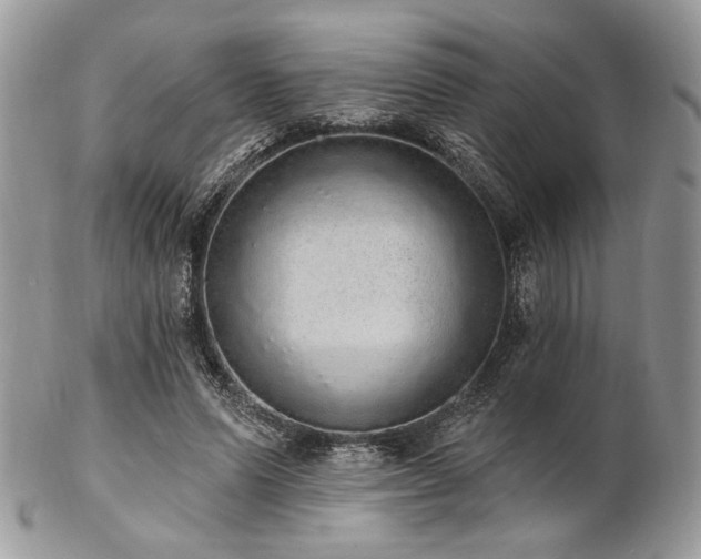 X0000102810591200808181225