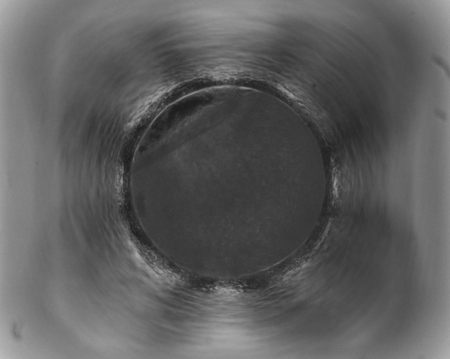 X0000102810592200808181225