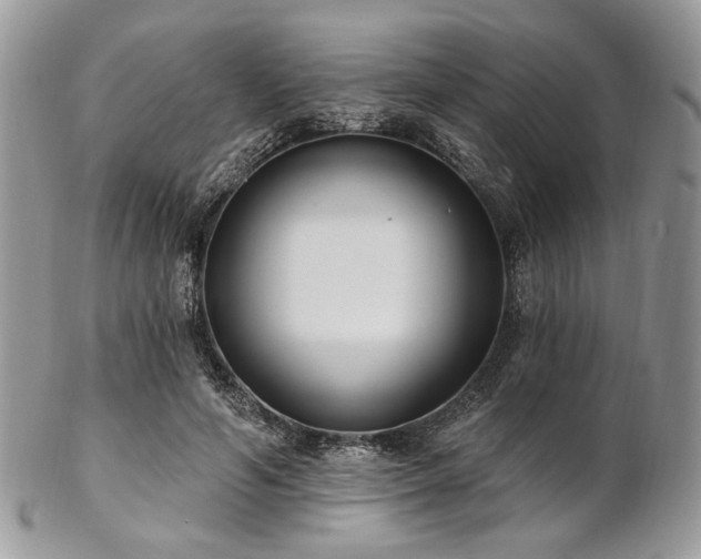 X0000102810594200808181225