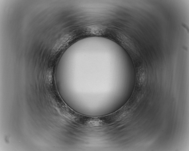 X0000102810595200808181225