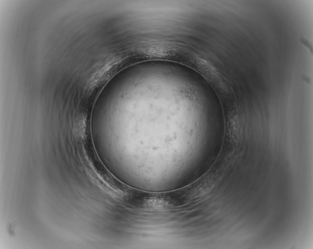 X0000102810596200808181225