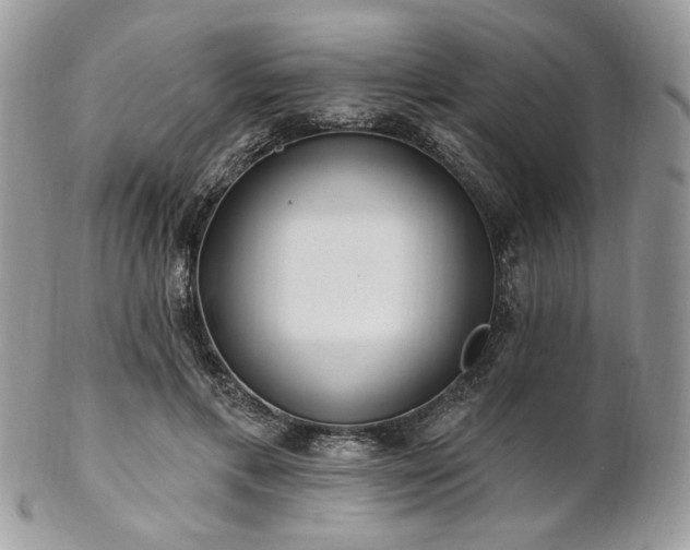 X0000102810597200808181225