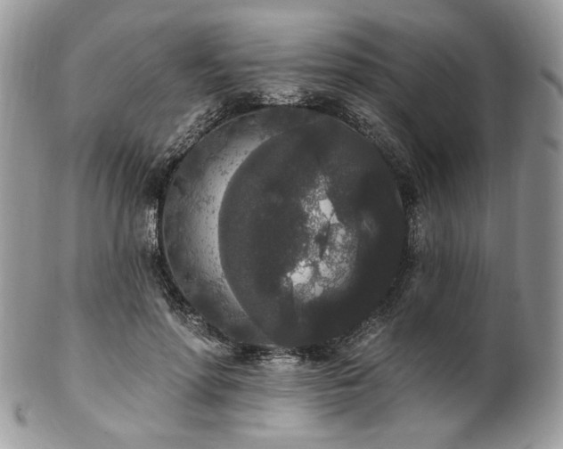 X0000102810598200808181225