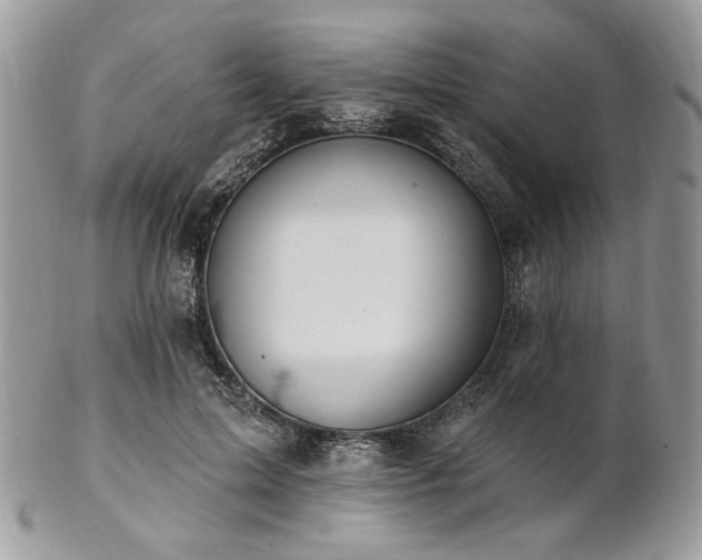 X0000102810599200808181225