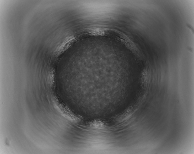 X0000102810600200808181225