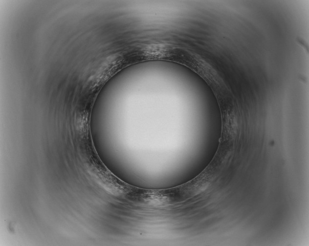 X0000102810601200808181225