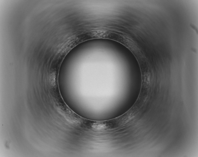 X0000102810602200808181225