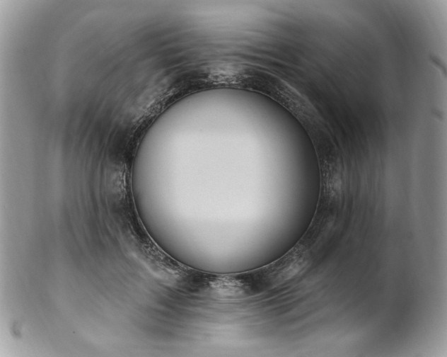 X0000102810603200808181225