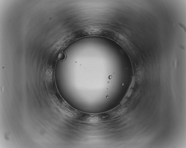 X0000102810604200808181225