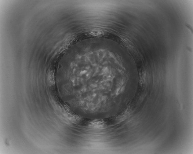 X0000102810606200808181225