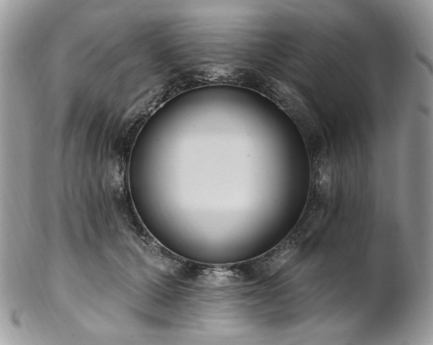 X0000102810607200808181225