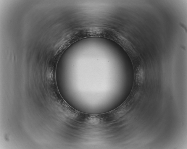 X0000102810608200808181225