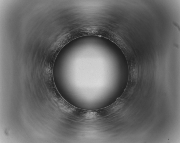 X0000102810609200808181225