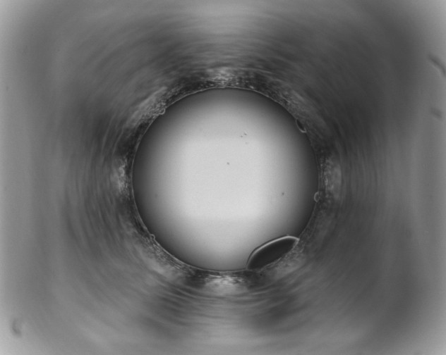 X0000102810611200808181225