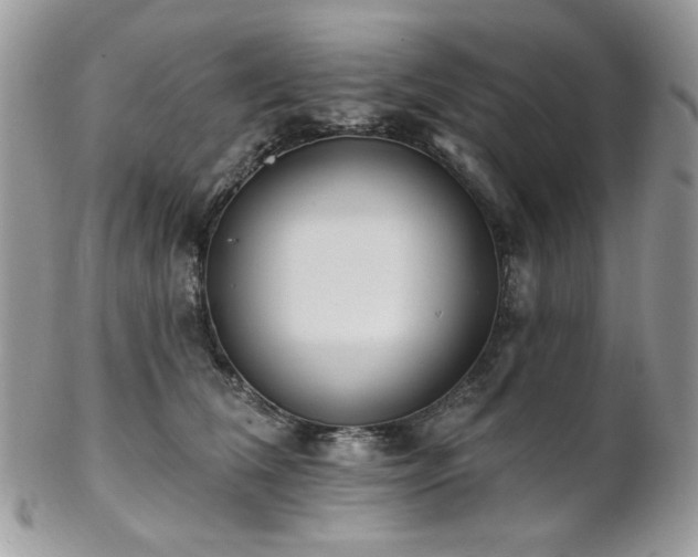 X0000102810612200808181225