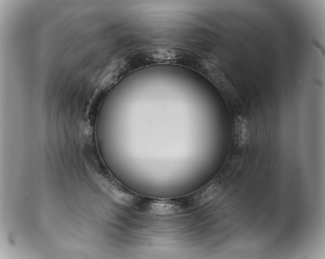 X0000102810614200808181225