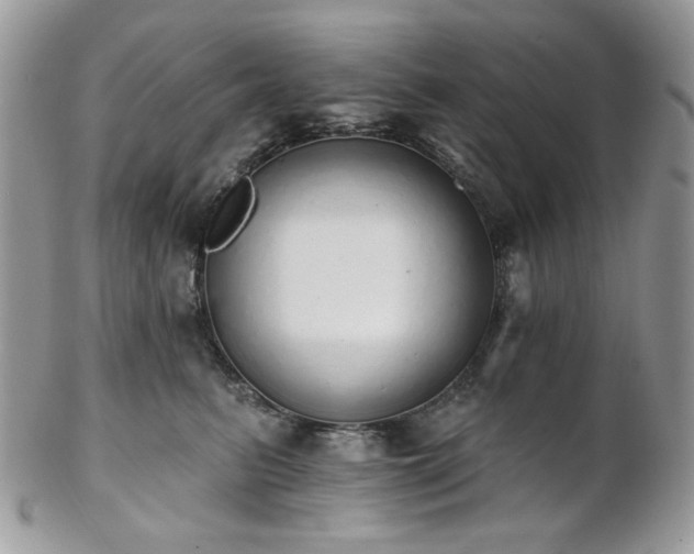 X0000102810615200808181225