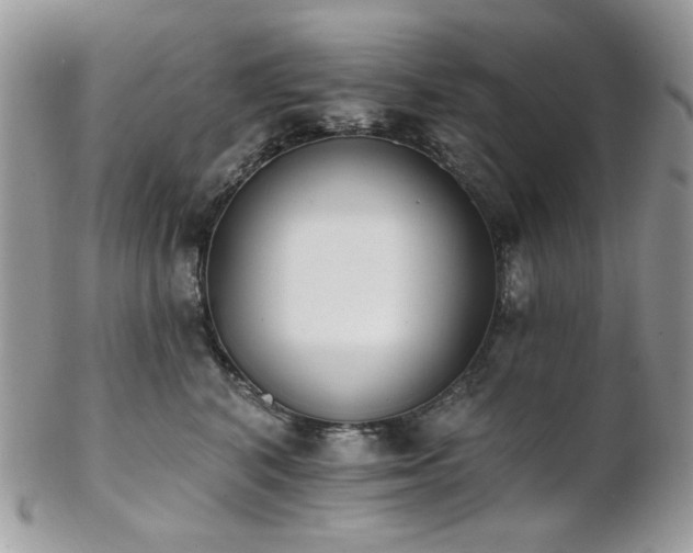 X0000102810616200808181225