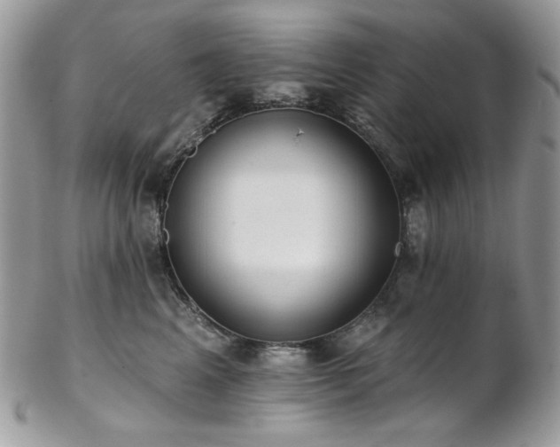 X0000102810617200808181225