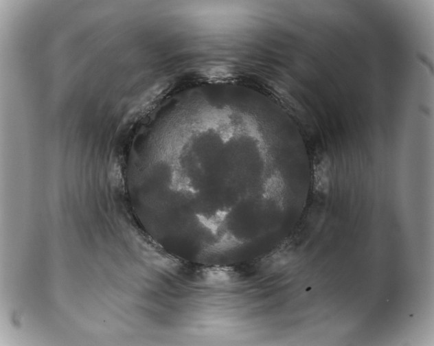 X0000102810618200808181225