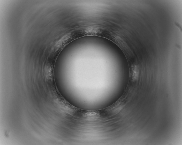 X0000102810619200808181225