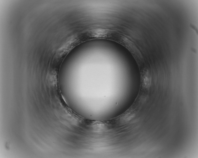 X0000102810620200808181225