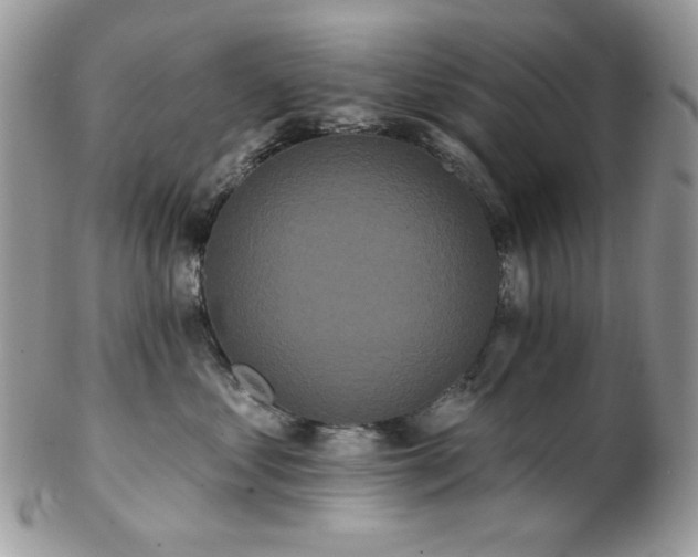 X0000102810621200808181225