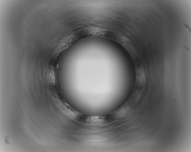 X0000102810622200808181225