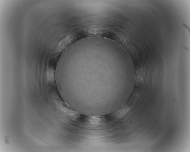 X0000102810623200808181225