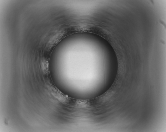 X0000102810624200808181225