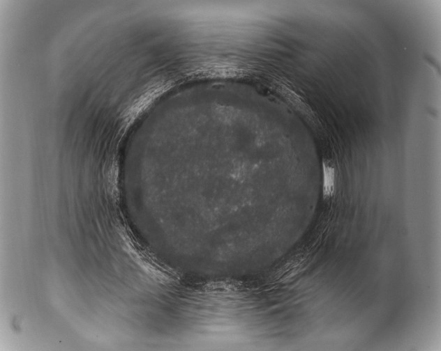 X0000102810627200808181224