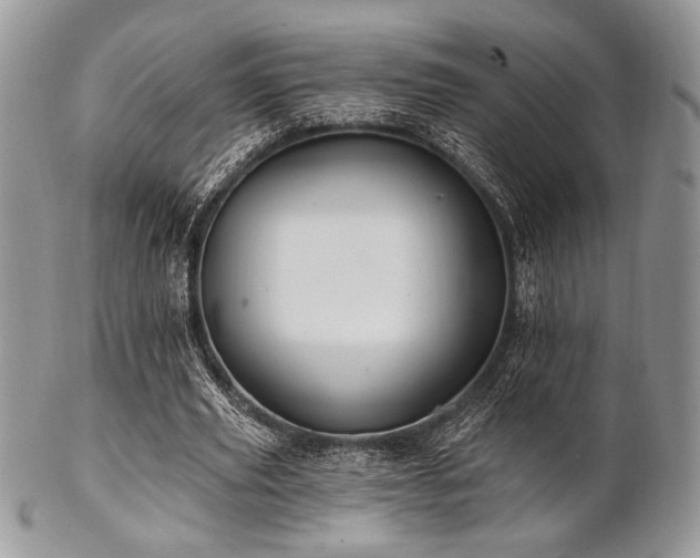 X0000102810629200808181224