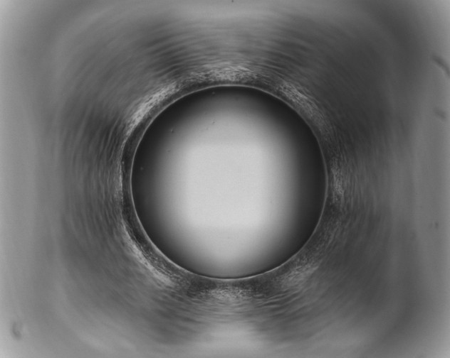 X0000102810630200808181224