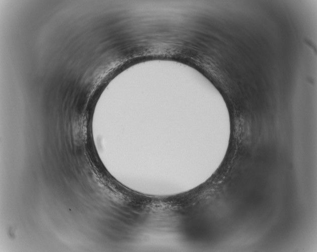 X0000102810632200808181224