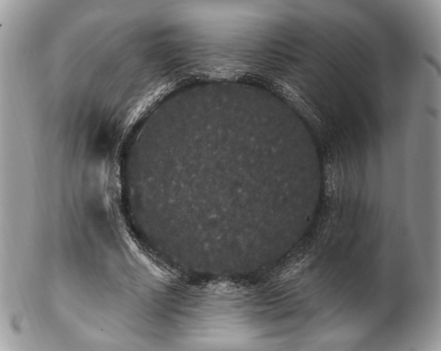 X0000102810634200808181224