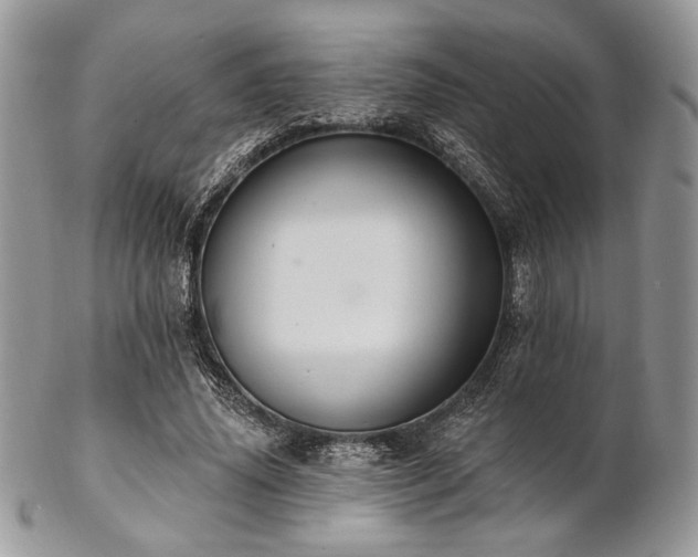 X0000102810636200808181224