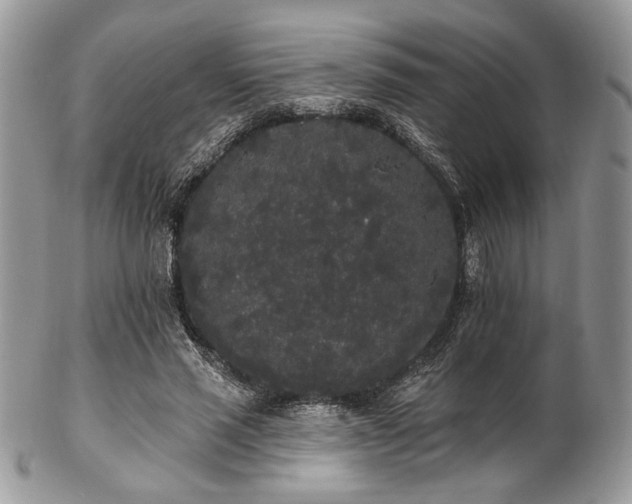 X0000102810637200808181224